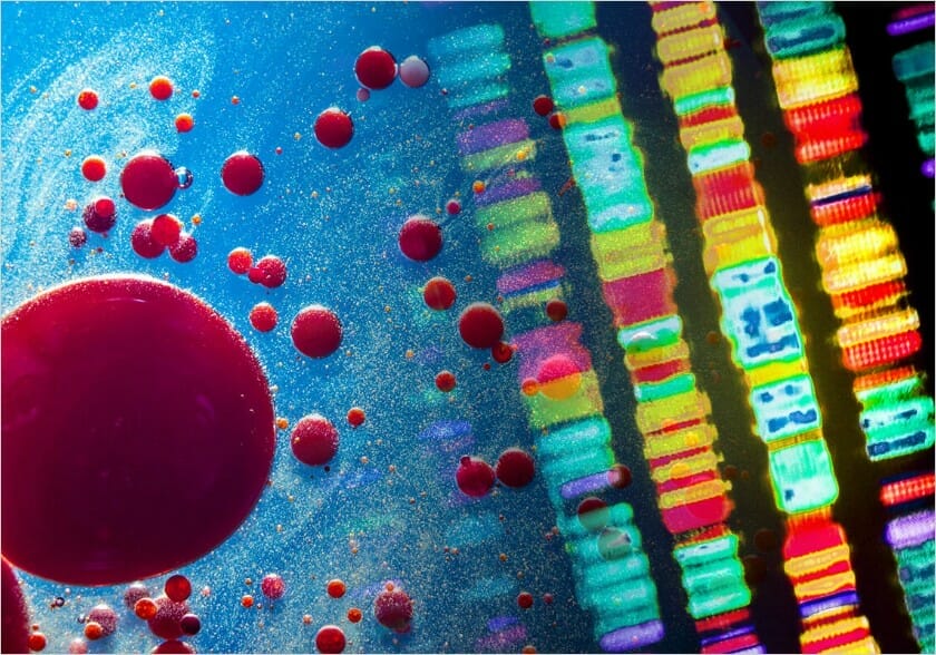 Image of cells at right overlays image of DNA sequence at left