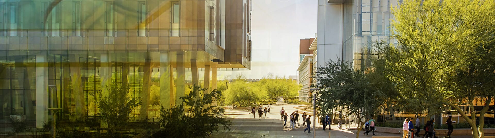 A blend of Biodesign’s physical locations