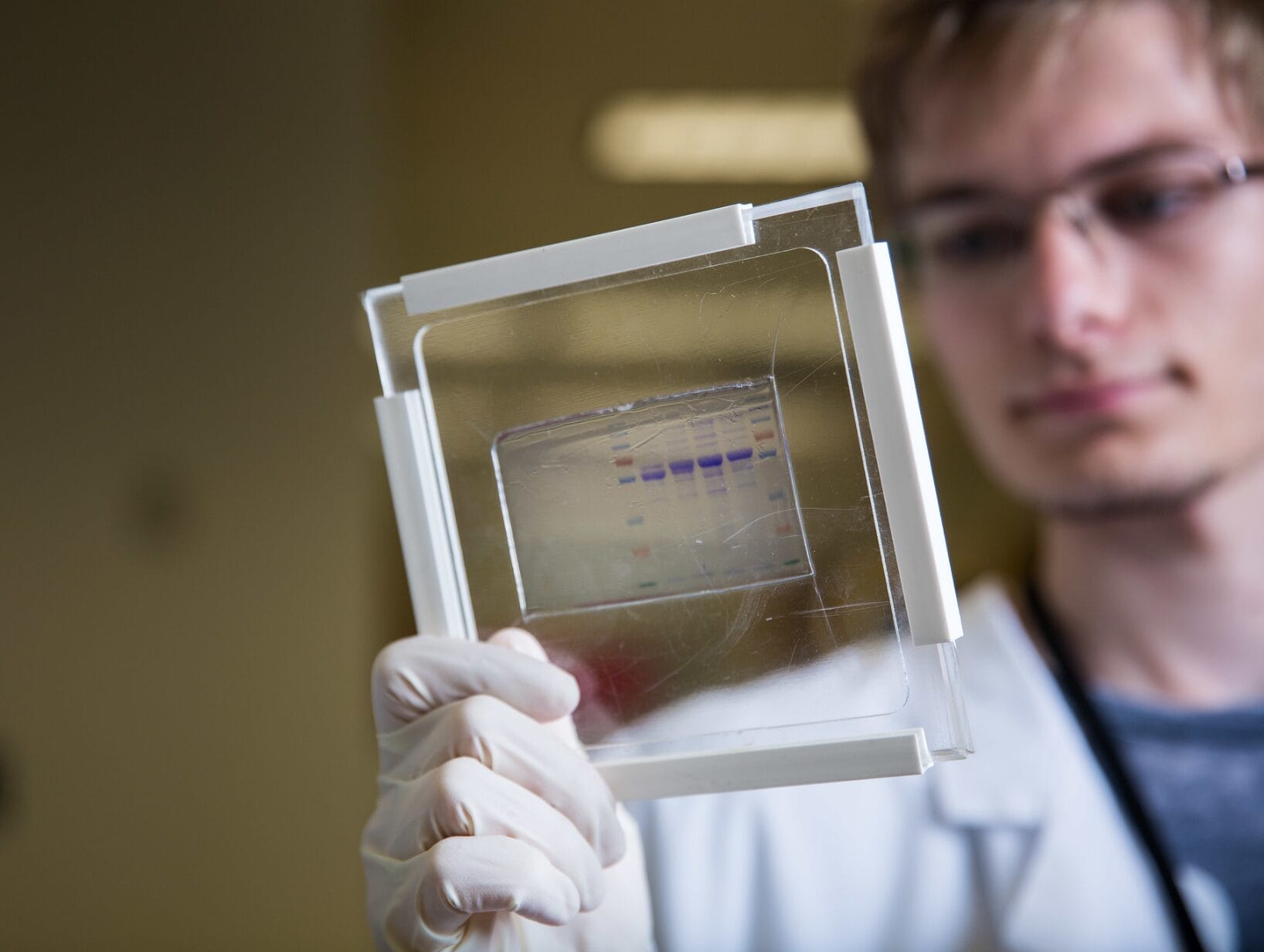 Researcher looking at a sample in a lab